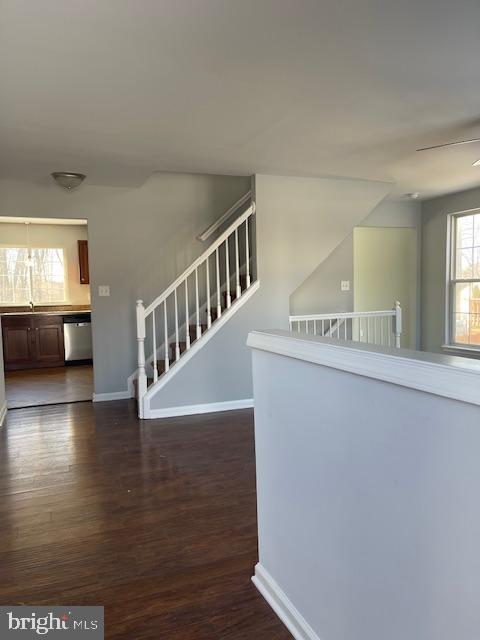 Building Photo - 25 Sir Thomas Ln