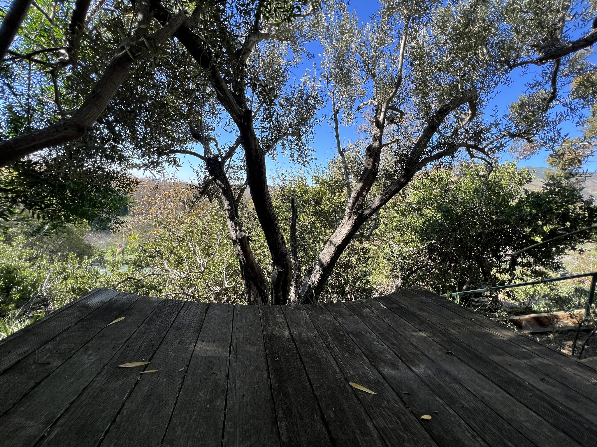 Hillside Meditation Deck - 3623 Serra Rd