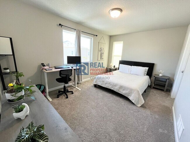 Building Photo - 942 Petra Heights