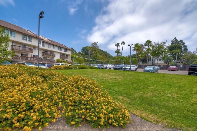 Building Photo - 1 Bed / 1 Bath Condo in Mission Verde – Pa...
