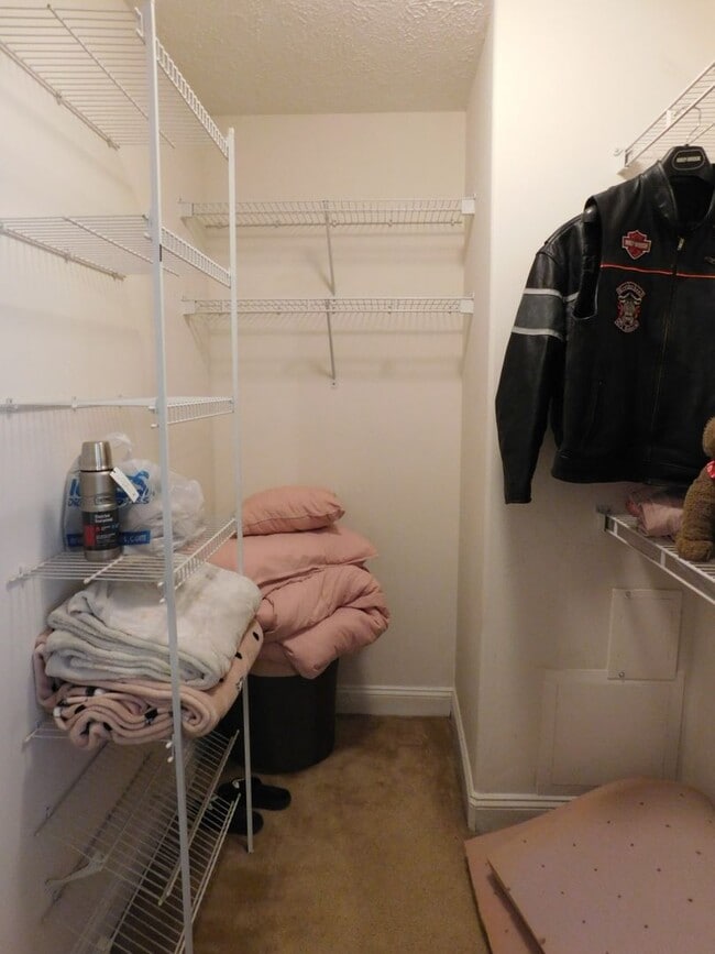 Building Photo - 119 Pella Ln