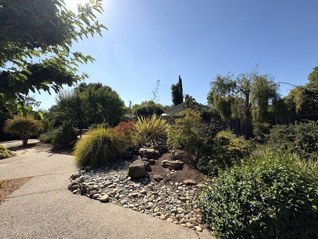 Building Photo - Modern Oasis in the Heart of Los Altos – U...