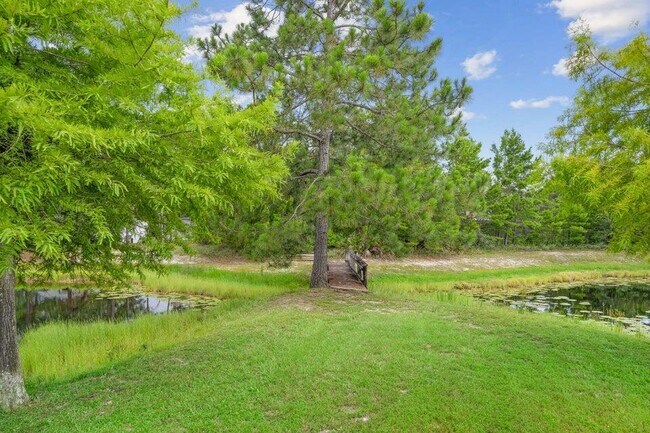 Building Photo - 42 Vía Largo