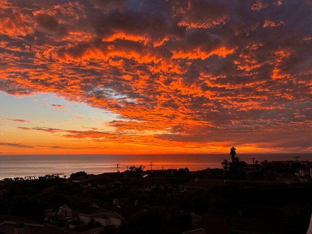 Building Photo - 5662 Ladybird Ln