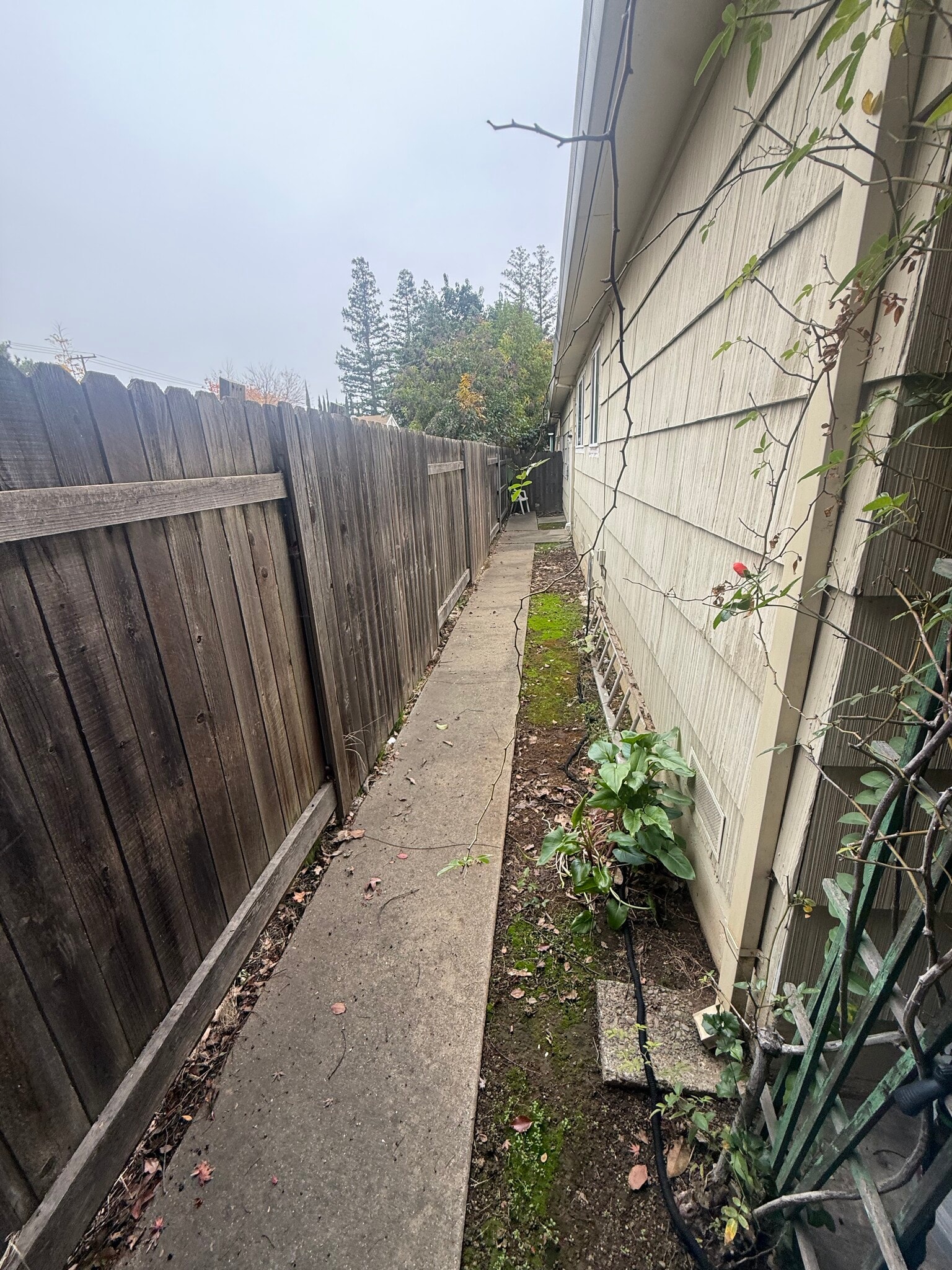 Building Photo - 2013 56th St