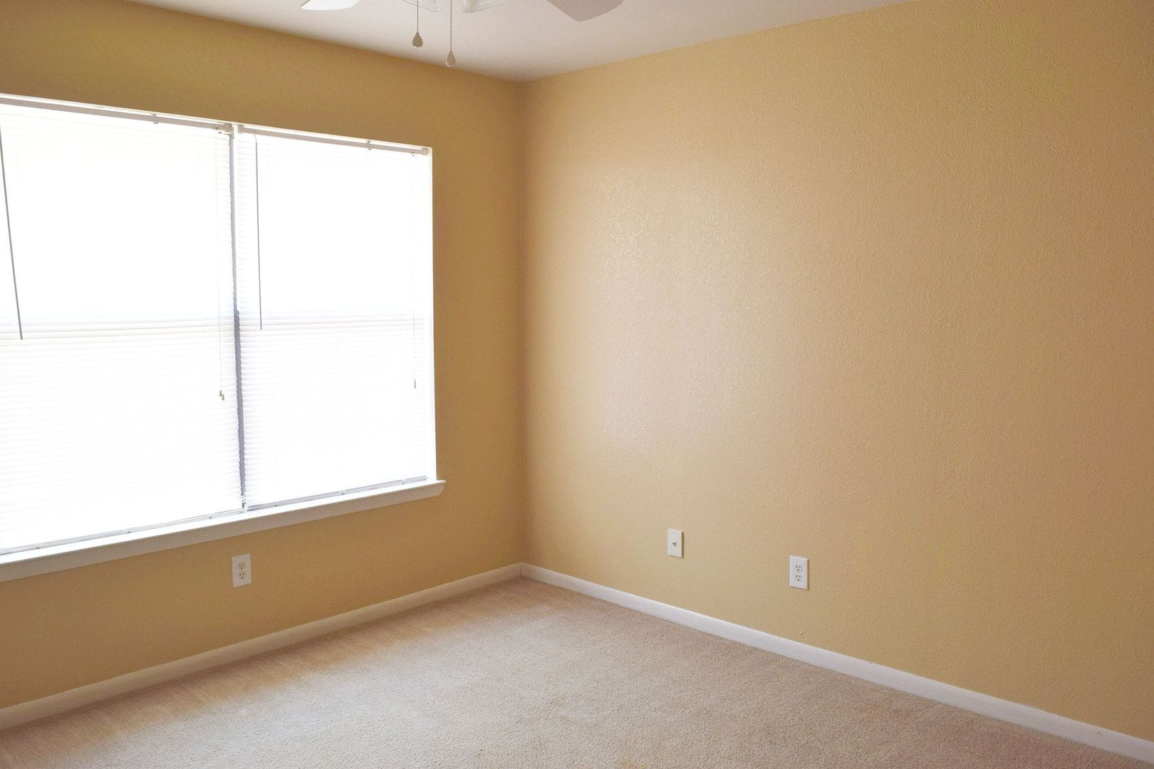 Building Photo - 1210 Monroe Loop