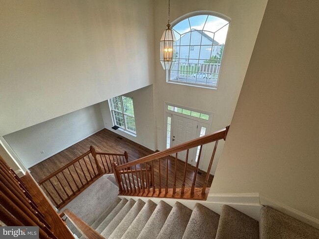 Building Photo - 105 Fredericksburg Dr