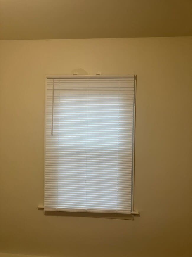 Building Photo - 114 Olivia St