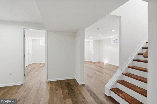 Building Photo - 36 Mapledale Ave