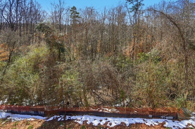 Building Photo - 4BR Home in The Pines at Paw Creek – New Construction + Private Deck