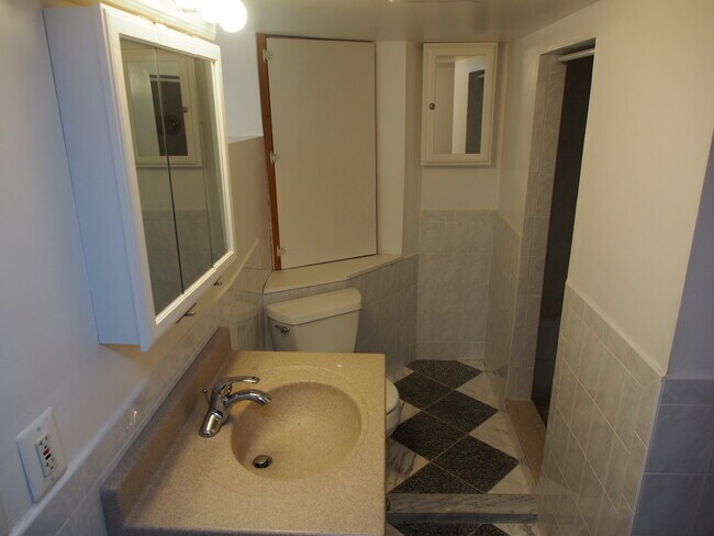 Basement - 22 Cleveland Ave