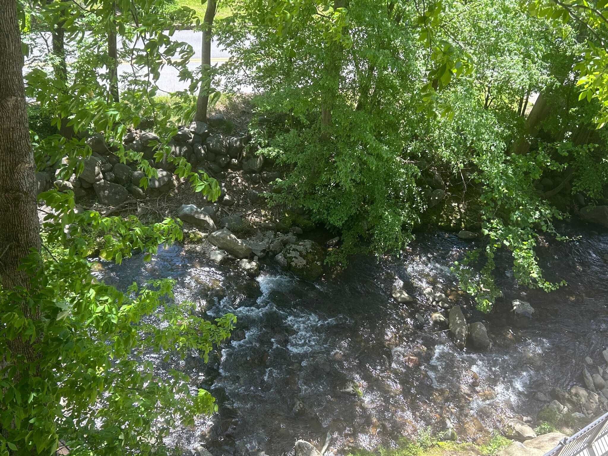 view of creek from balcony - 210 Roaring Fork Ext