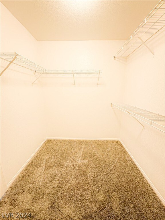 Building Photo - 9039 Spring Star Ct