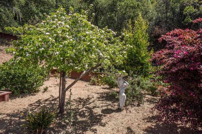 Building Photo - Resort-like Aptos Single Family House