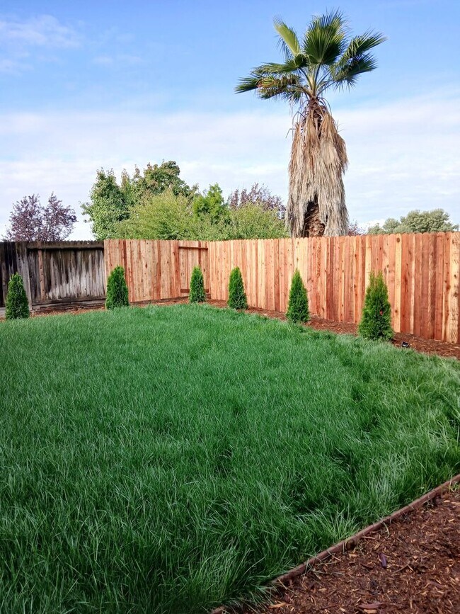 Building Photo - Nice 4 Bedroom Family Home for Rent in Great Rocklin Location