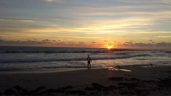 Building Photo - VACATION RENTAL ON S. HUTCHINSON ISLAND IN...