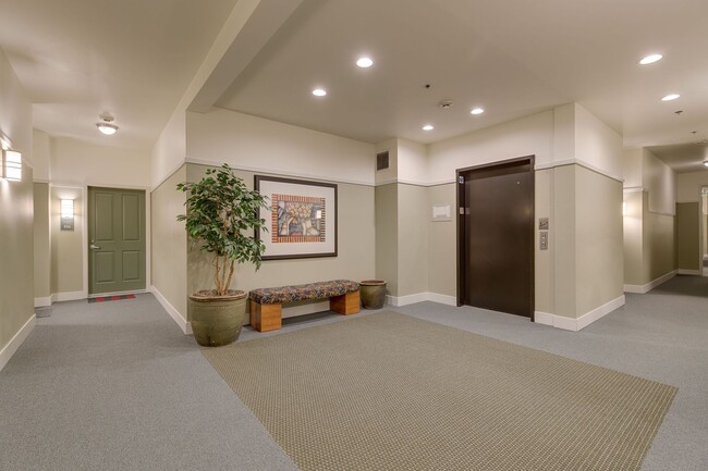 Building Photo - Spacious 2 bedroom Condo in Downtown Redmond