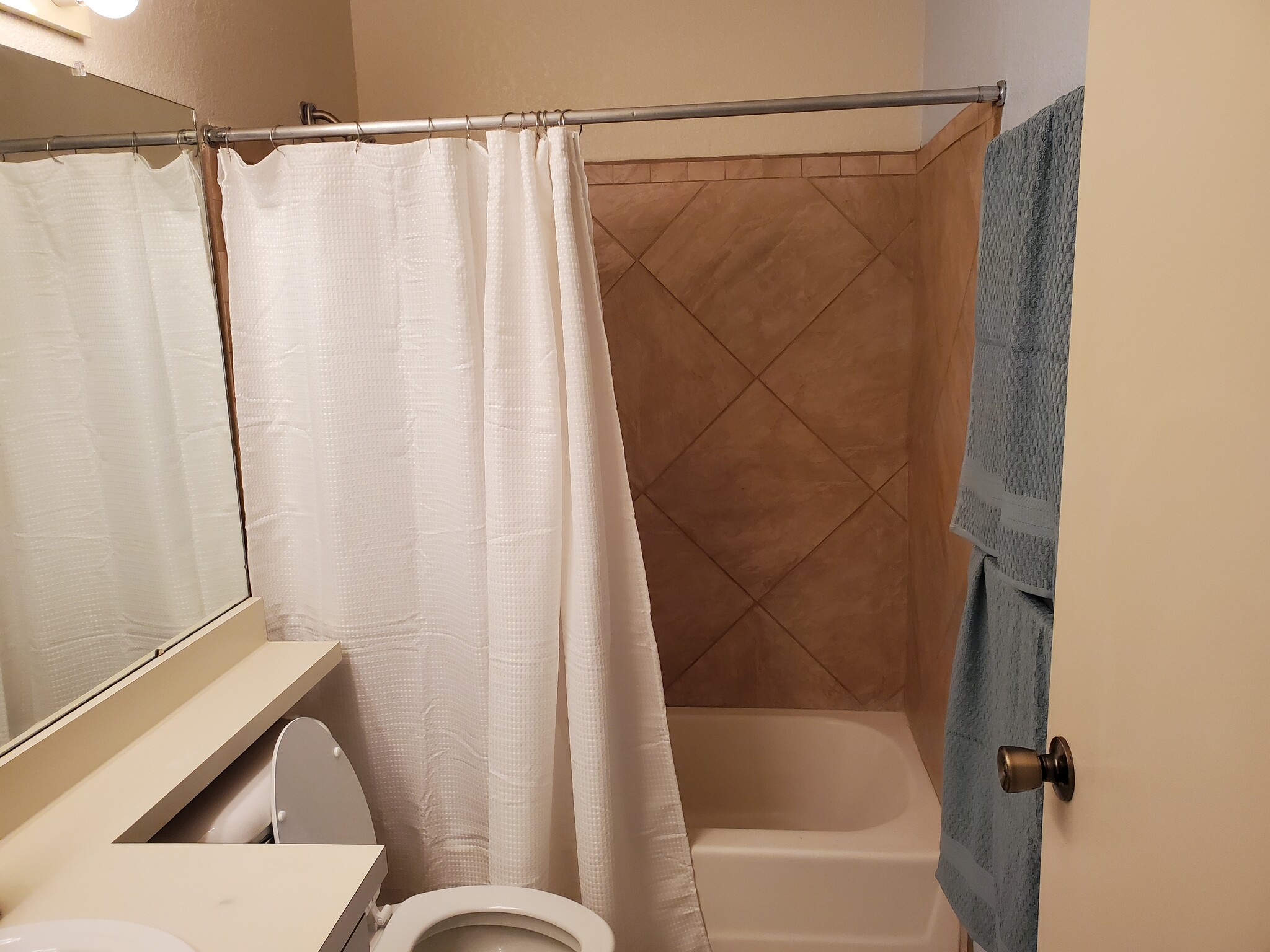 First floor bathroom - 7615 E Callisto Cir