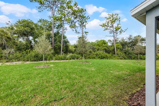 Building Photo - Brand-New 4BR Home with Tile Floors & Quartz Kitchen & Conservation Views
