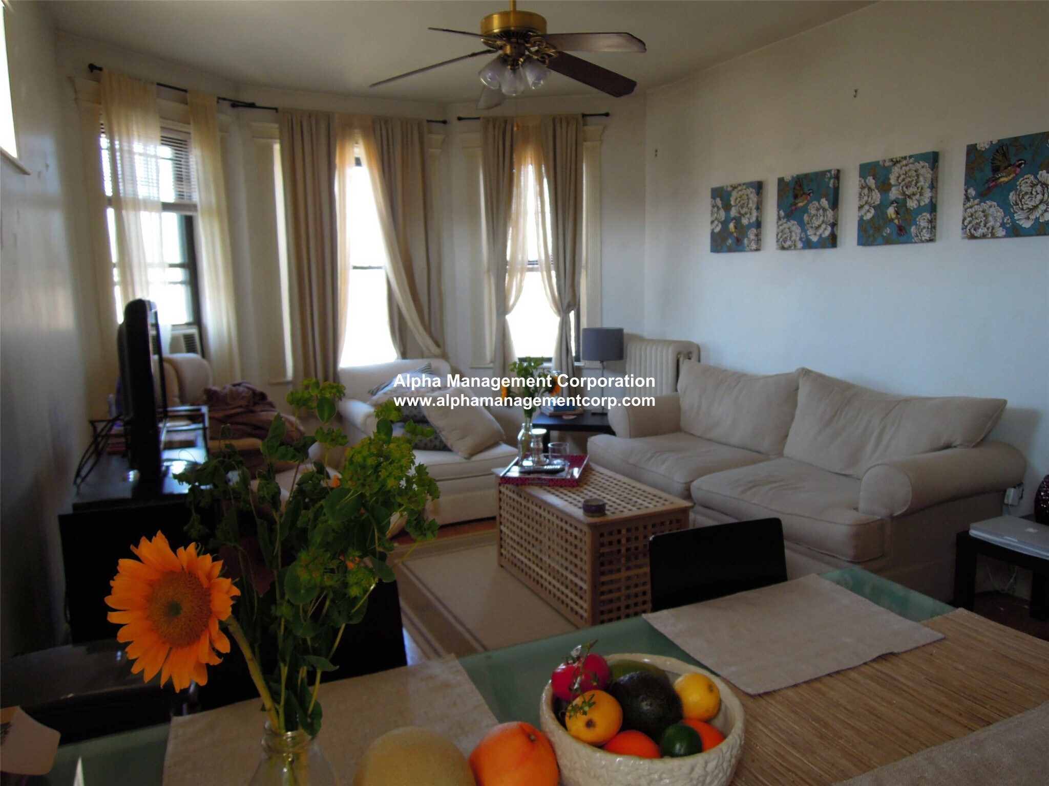 Building Photo - 1412 Commonwealth Ave