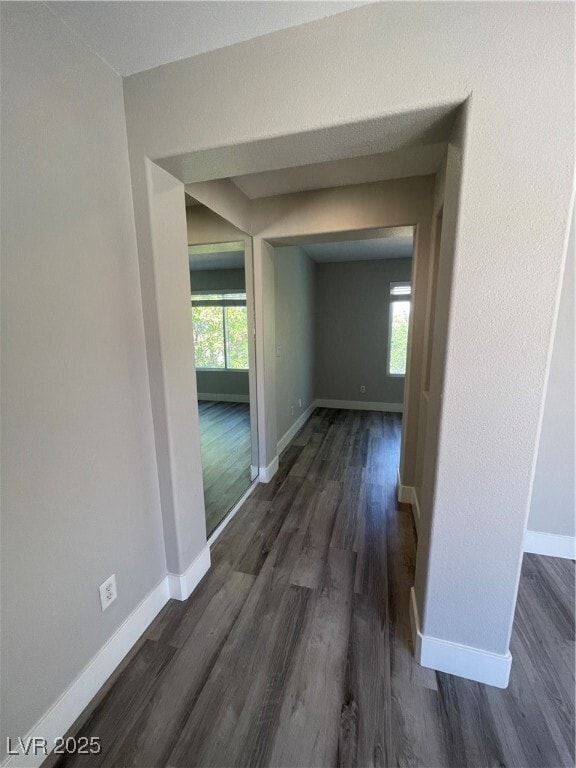 Building Photo - 1533 Sabatini Dr