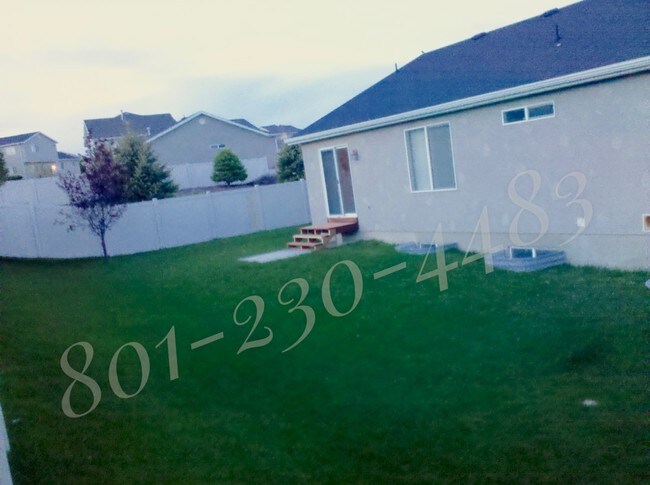 Backyard north - 2063 Boysenberry Dr