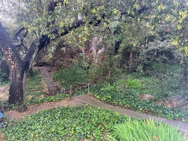 Building Photo - Upper East/Mission Area 3 Bedroom Home - Available Mid-August