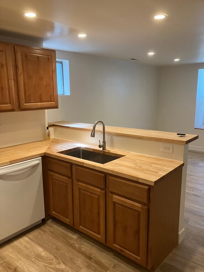 Large Undermount Sink - 1109 1st Ave N