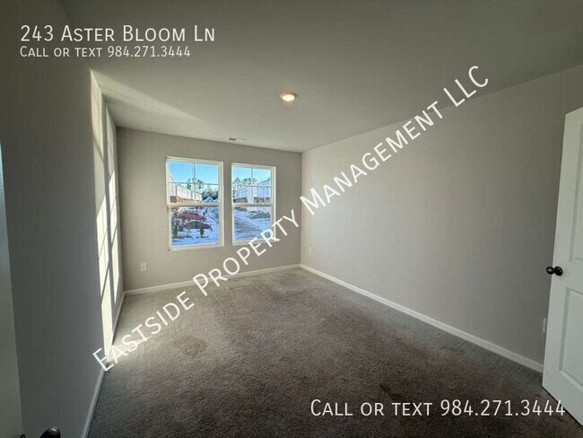 Building Photo - 243 Aster Bloom Ln