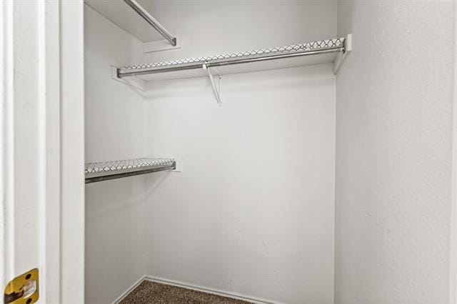 Building Photo - 2909 Misty Valley Dr