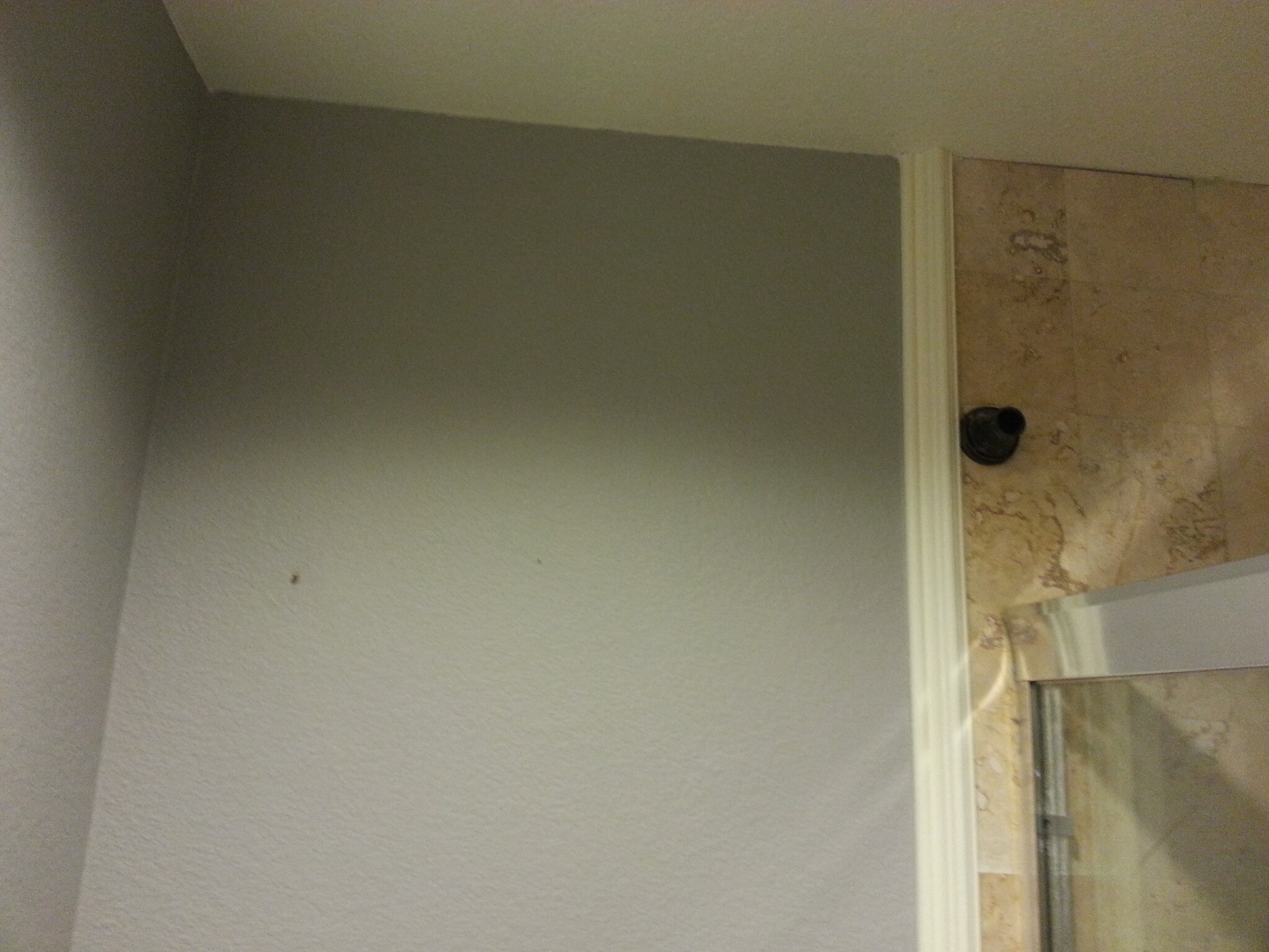 Master Suite - THIS IS FOR RENT - 7106 Pelican St