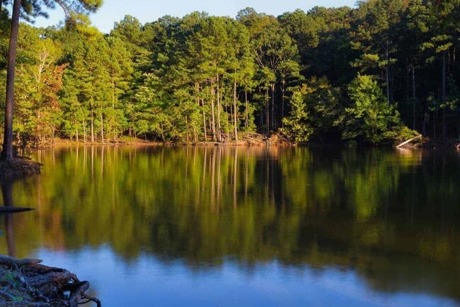 Building Photo - 150 Innis Brk Cir