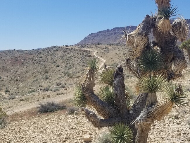 Building Photo - 10016 San Gervasio Ave