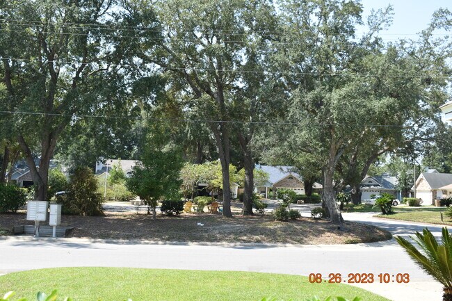 View from front door - 3126 Station Ct