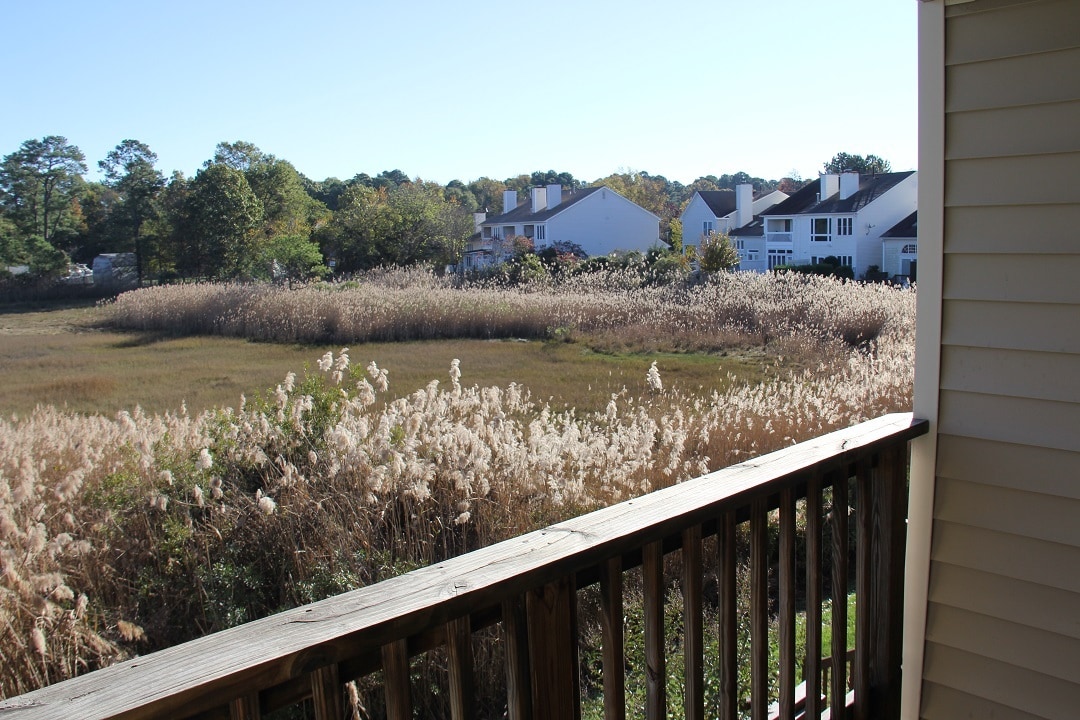 View from Balcony 2 - 148 River Walk Ct