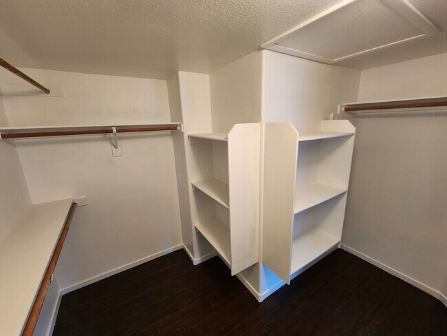 Walk-in Closet - 929 Dusty Creek St