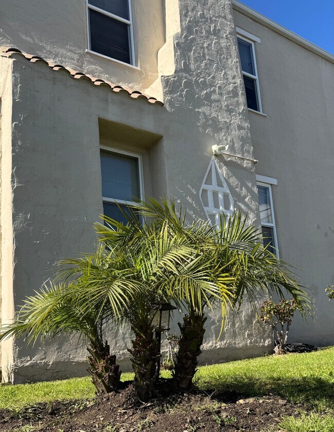 Building Photo - The Palms On Seminary
