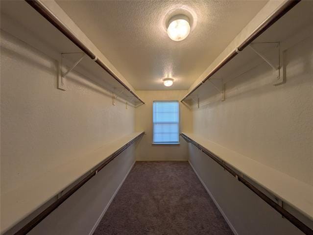 Building Photo - 4115 Indian Paintbrush Ln