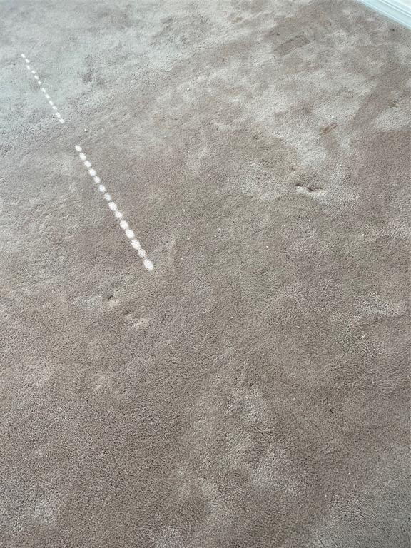 Building Photo - 318 Ardmore St