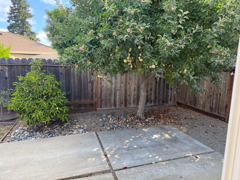 Building Photo - 1153 Sanchez Way