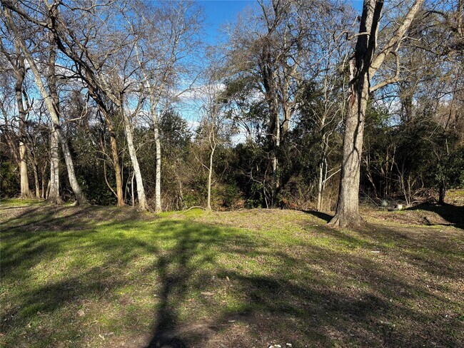 Building Photo - 100B Ross St