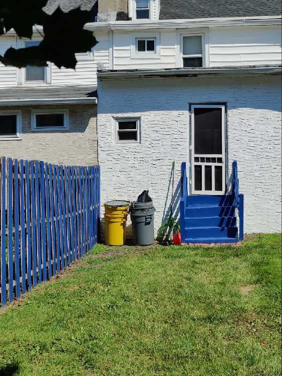 rear yard - 67 Holland Ave