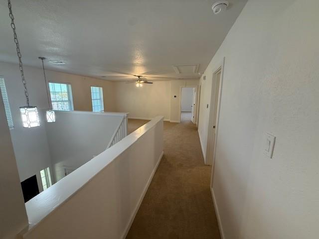 Building Photo - 281 Hometown Pkwy