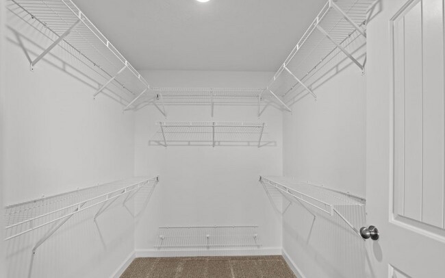 Building Photo - 7417 Paisley Cir