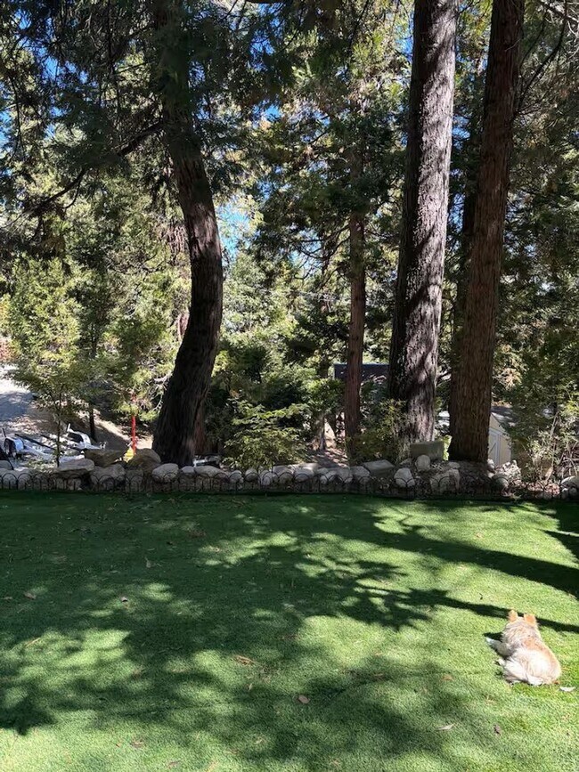 Building Photo - Vintage 5 bedroom Home with Three Car Garage