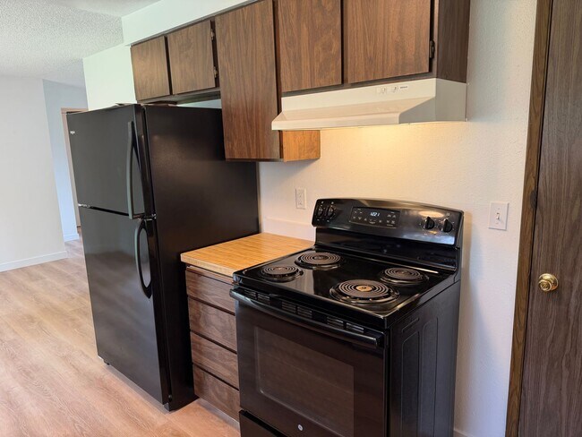 Building Photo - Updated single level 2 bed/1 bath duplex in Thurston!