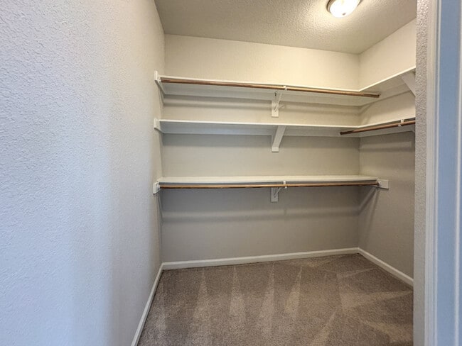 Building Photo - RENOVATED 4 BEDROOM/3 BATH IN VIRGINIA BEACH! READY FOR RENT!!