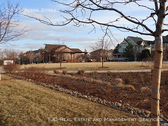 Building Photo - Stapleton Home for Rent! Custom Basement!