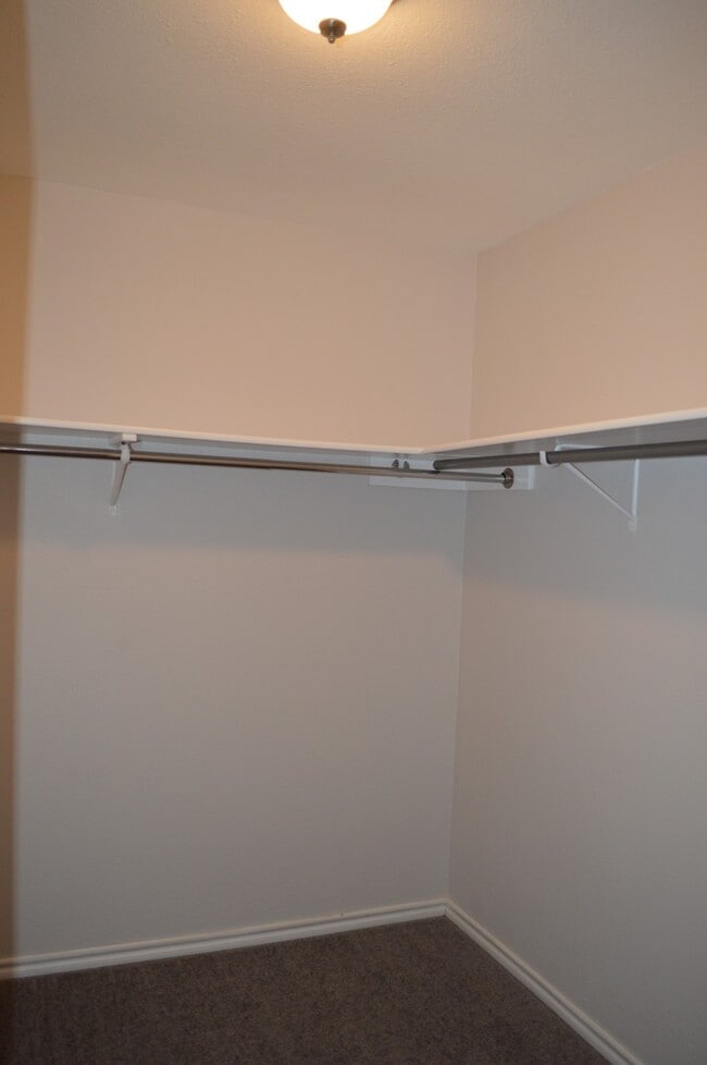 Building Photo - Newly remodeled 3 bed 2 bath