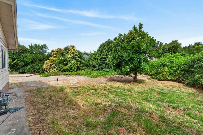 Building Photo - Charming 3-Bed Gem in Sacramento